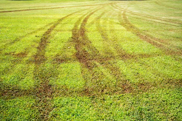 Nat gras maaien 3 verzakking bij nat gras maaien