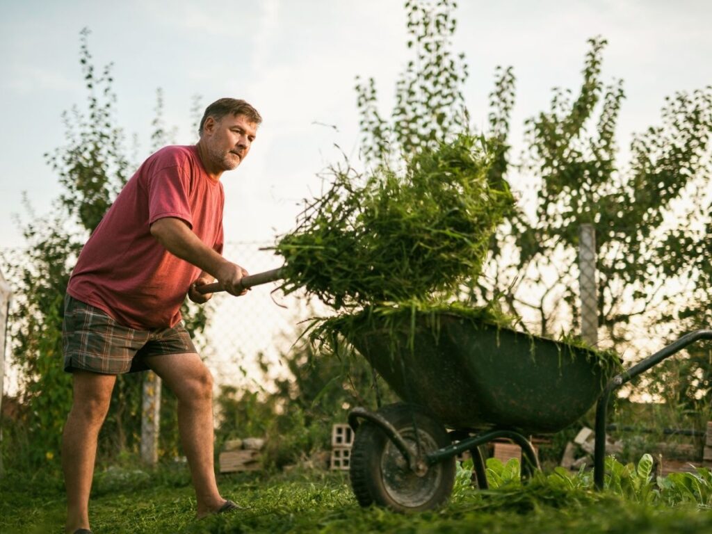 gemaaid gras laten liggen en inzamelen