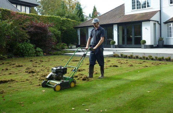 verticuteren nat gras