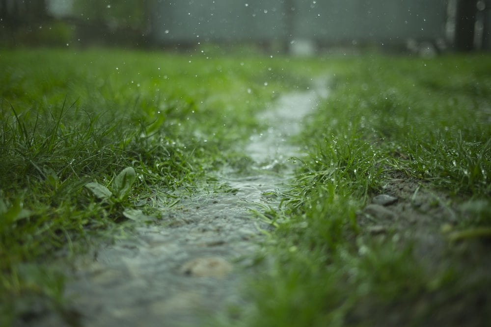 Gazon bemesten bij regen 2 gazon bemesten tijdens regen