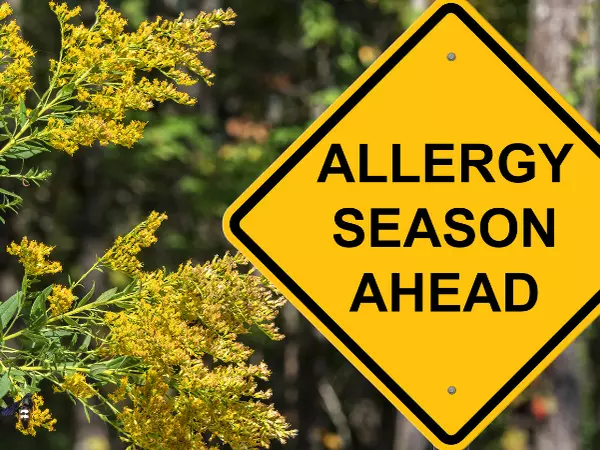 Gras allergie 2 gras allergie komt eraan