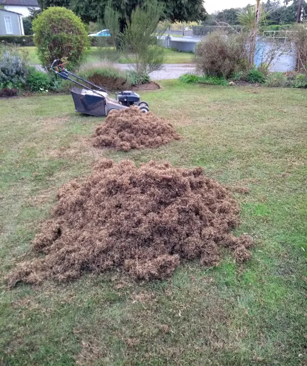 ijzersulfaat tegen mos en verticuteren